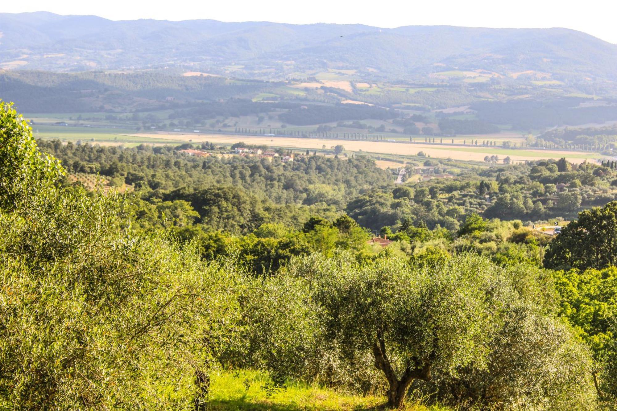 Agriturismo Dandelion Читта-делла-П'єве Екстер'єр фото